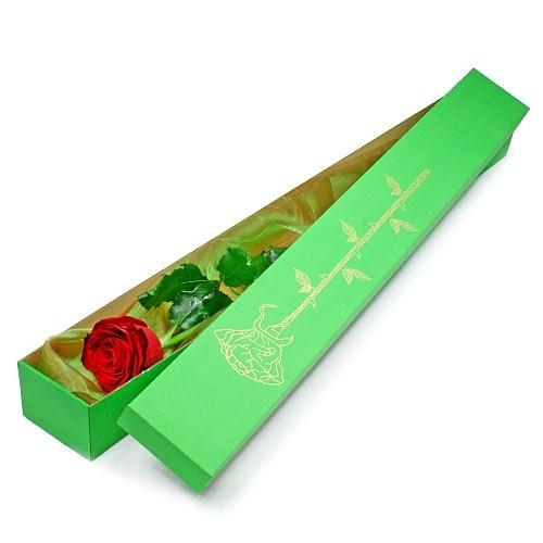 Bouquet de fleurs Elegant rose in a box Bouquet de fleurs Elegant rose in a box