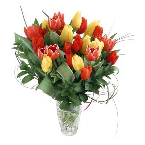 Bouquet de fleurs Bouquet of Tulips