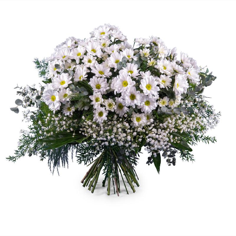 Bouquet de fleurs Bouquet of White Margaritte Daisies