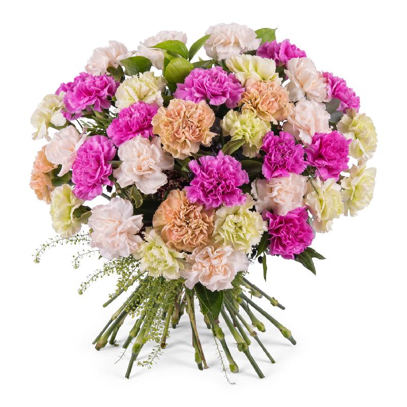 Bouquet de fleurs Bouquet of multicoloured carnations