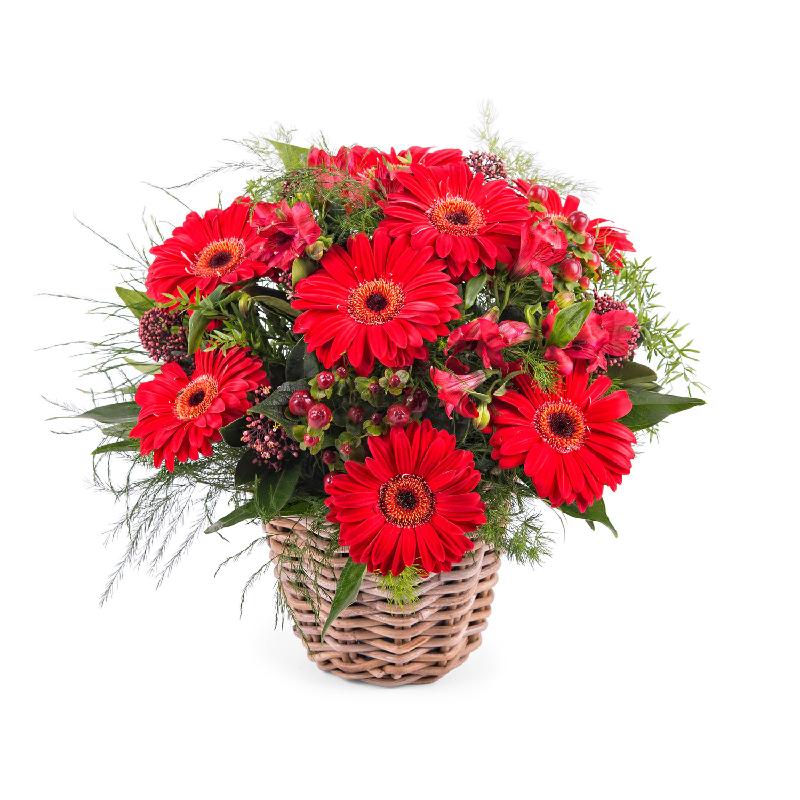 Bouquet de fleurs Basket Arrangement of Gerbera Daisies