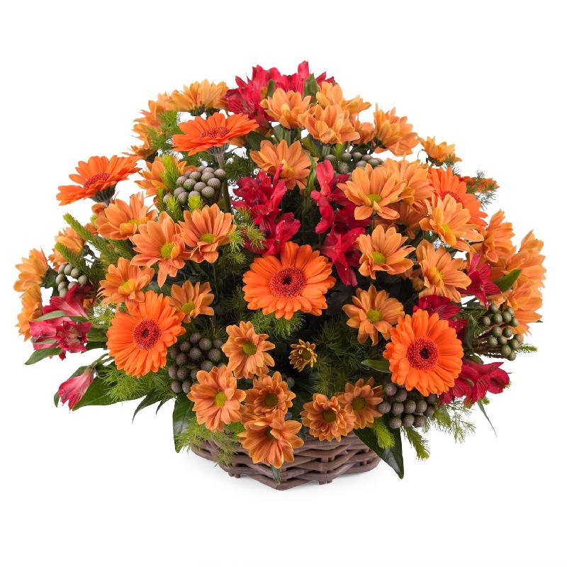 Bouquet de fleurs Basket arrangement of mixed flowers