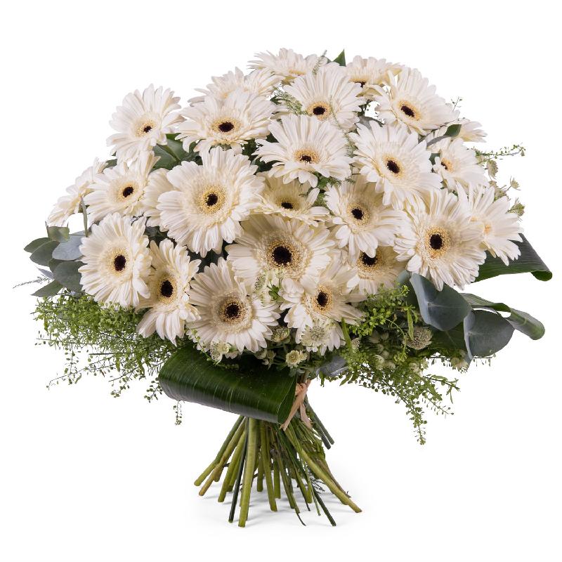 Bouquet de fleurs Bouquet of White Gerbera Daisies