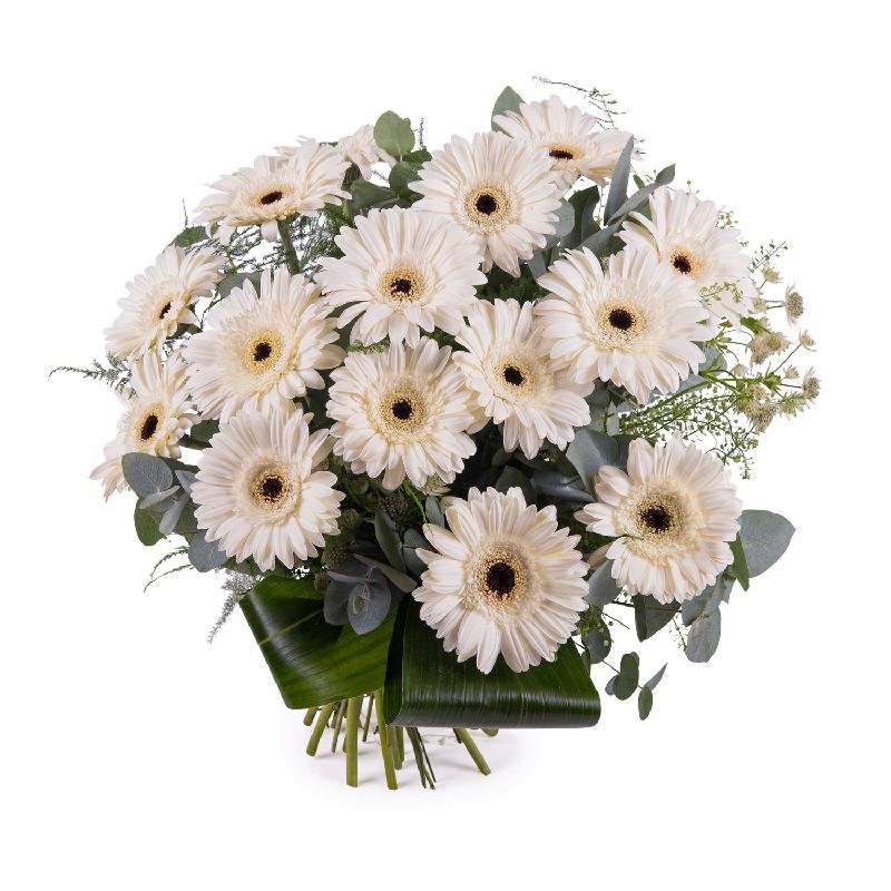 Bouquet de fleurs Bouquet of White Gerbera Daisies