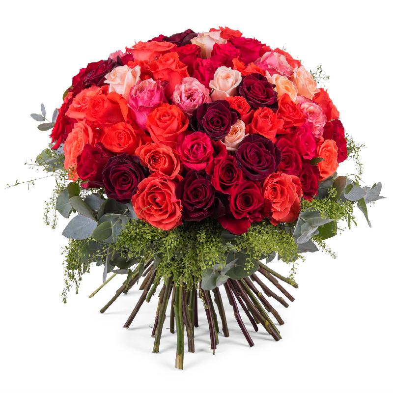 Bouquet de fleurs 60 Short-stemmed Multicoloured Roses Bouquet de fleurs 60 Short-stemmed Multicoloured Roses