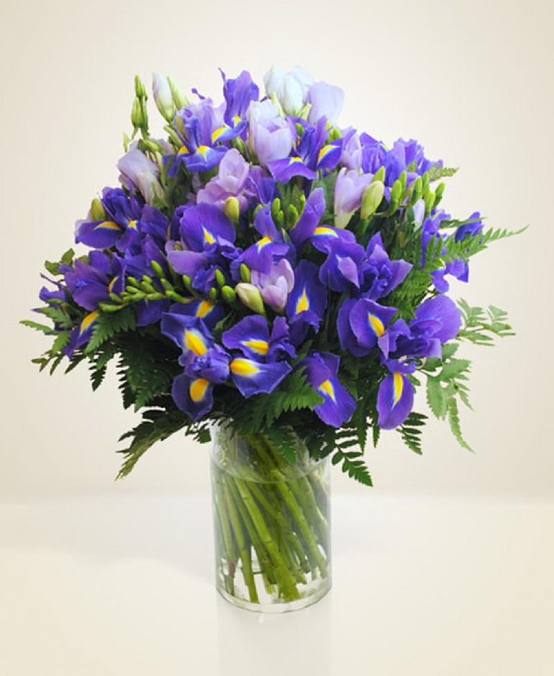 Bouquet de fleurs Exuberant Bouquet de fleurs Exuberant