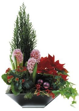 Bouquet de fleurs Arrangement of Plants