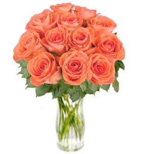 Bouquet de fleurs Bunch of Orange Roses "Bliss" (without vase)