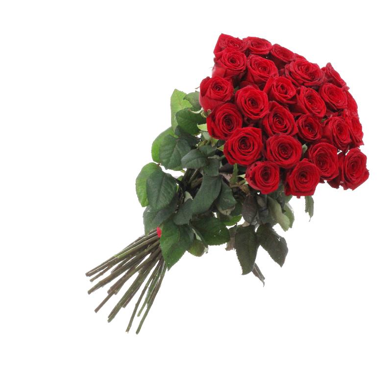 Bouquet de fleurs Bunch of 21 red roses Bouquet de fleurs Bunch of 21 red roses