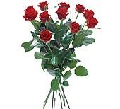 Bouquet de fleurs Bouquet with 12 red roses
