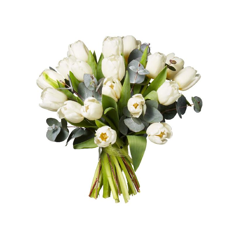 Bouquet de fleurs White tulips