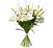 Bouquet de fleurs Bouquet Dashing Lilies Bouquet de fleurs Bouquet Dashing Lilies
