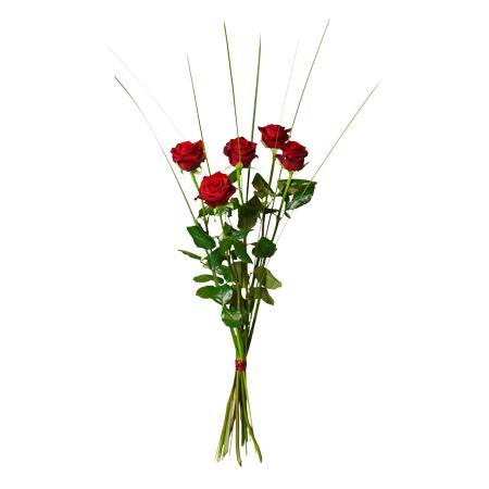 Bouquet de fleurs Bouquet of 5 red roses