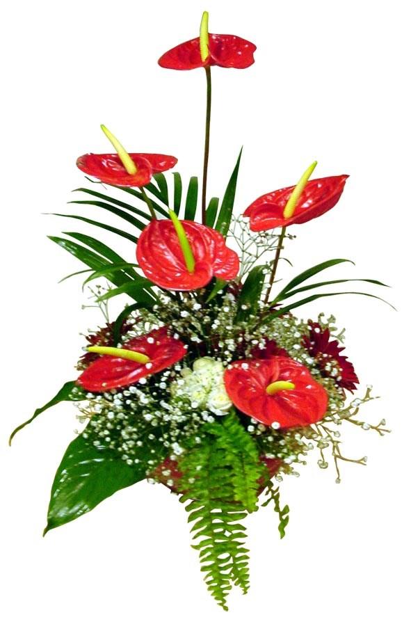 Bouquet de fleurs Arrangement of Cut Flowers Bouquet de fleurs Arrangement of Cut Flowers