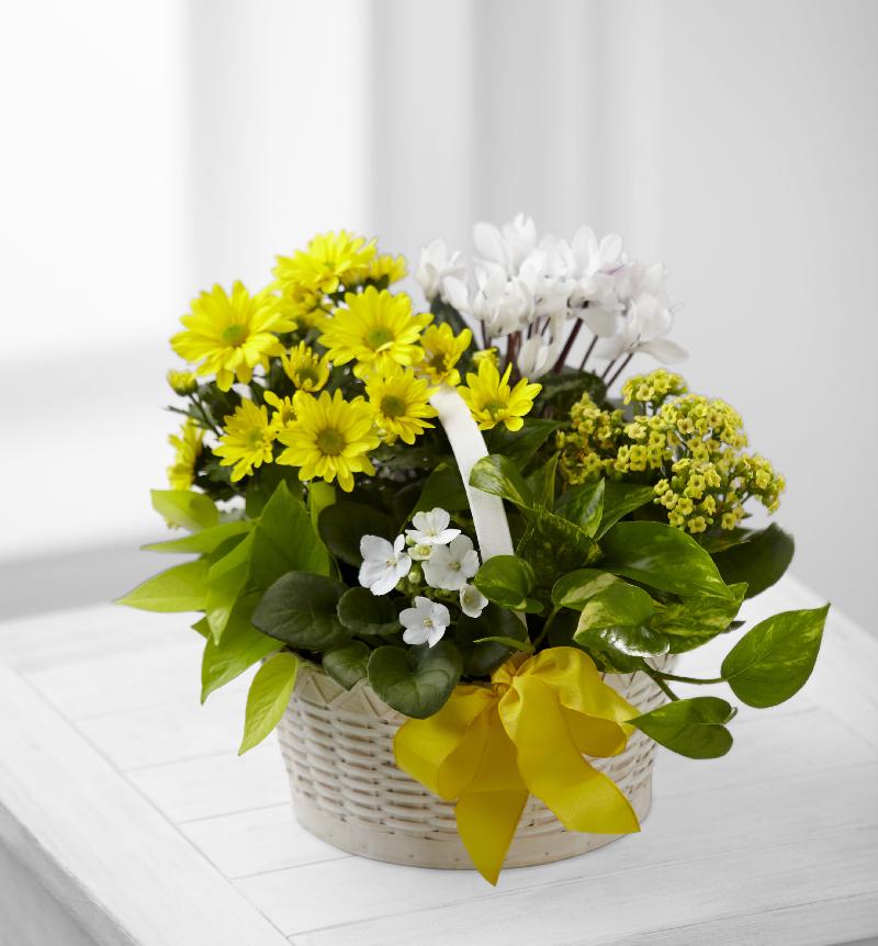 Bouquet de fleurs A Bit Of Sushine Basket Bouquet de fleurs A Bit Of Sushine Basket