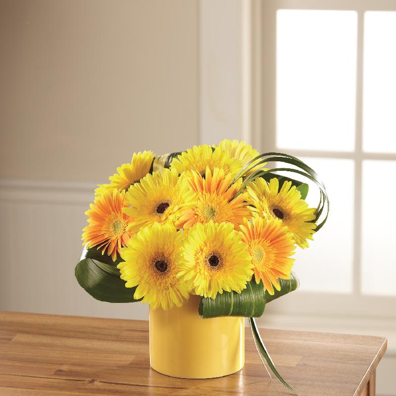 Bouquet de fleurs The FTD Sunny Surprise Bouquet Bouquet de fleurs The FTD Sunny Surprise Bouquet