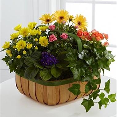 Bouquet de fleurs Gentle Blossoms Basket