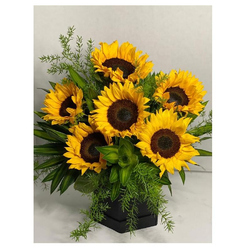 Bouquet de fleurs 6 Sunflowers in a box