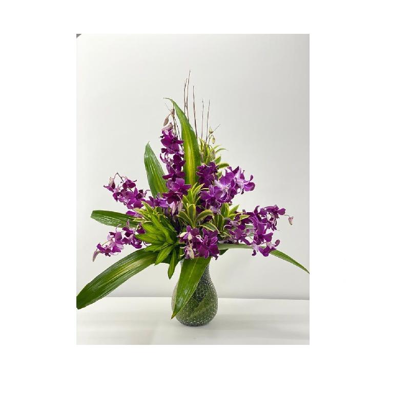 Bouquet de fleurs Medium orchid in vase