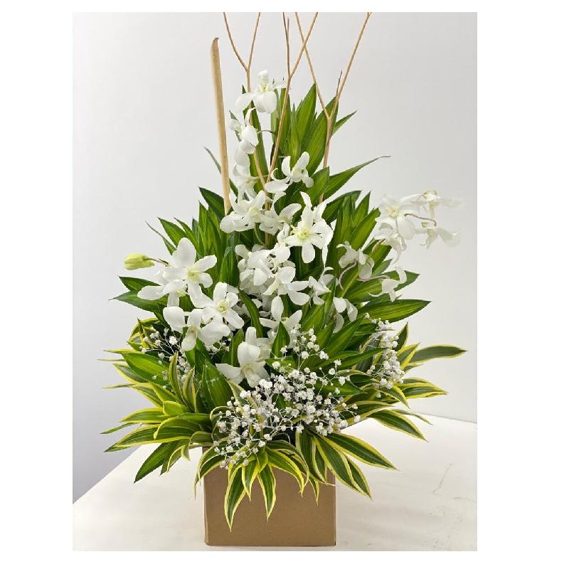 Bouquet de fleurs Special orchid box (white) Bouquet de fleurs Special orchid box (white)