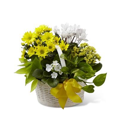 Bouquet de fleurs A Bit of Sunshine Basket by FTD