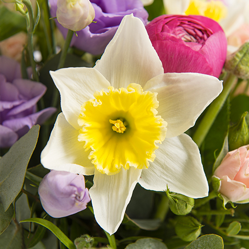 Bouquet de fleurs Câline et son vase offert