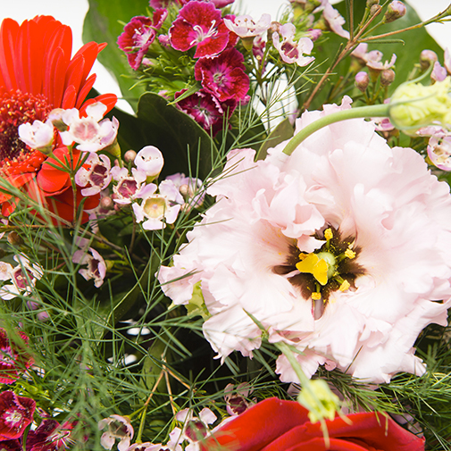 Bouquet de fleurs Déclaration et son vase offert