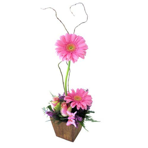 Bouquet de fleurs Glam Gerberas Bouquet de fleurs Glam Gerberas