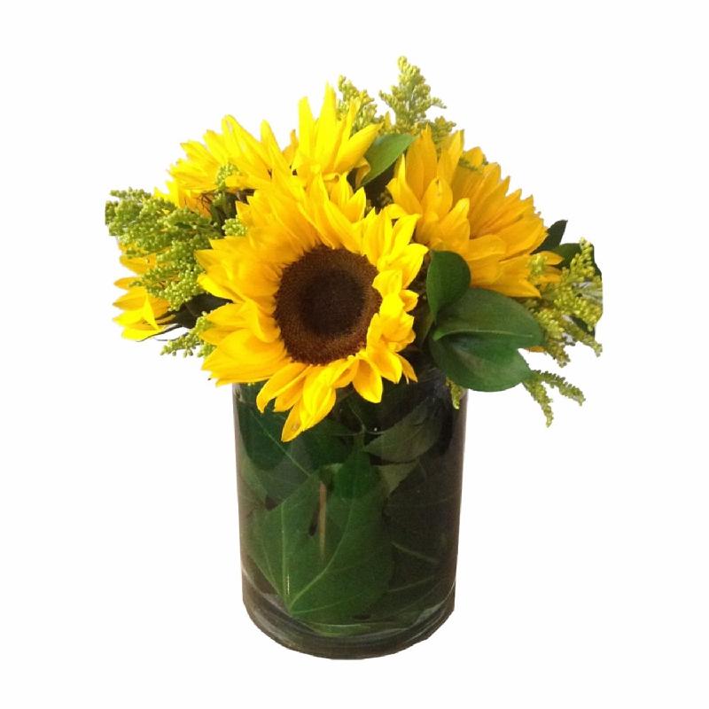 Bouquet de fleurs Zestful Bouquet de fleurs Zestful