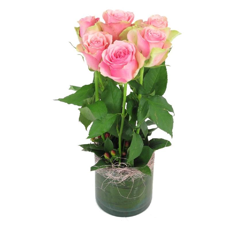 Bouquet de fleurs 6 Pink Roses in Vase Bouquet de fleurs 6 Pink Roses in Vase