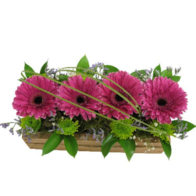 Bouquet de fleurs Gerberas in Box