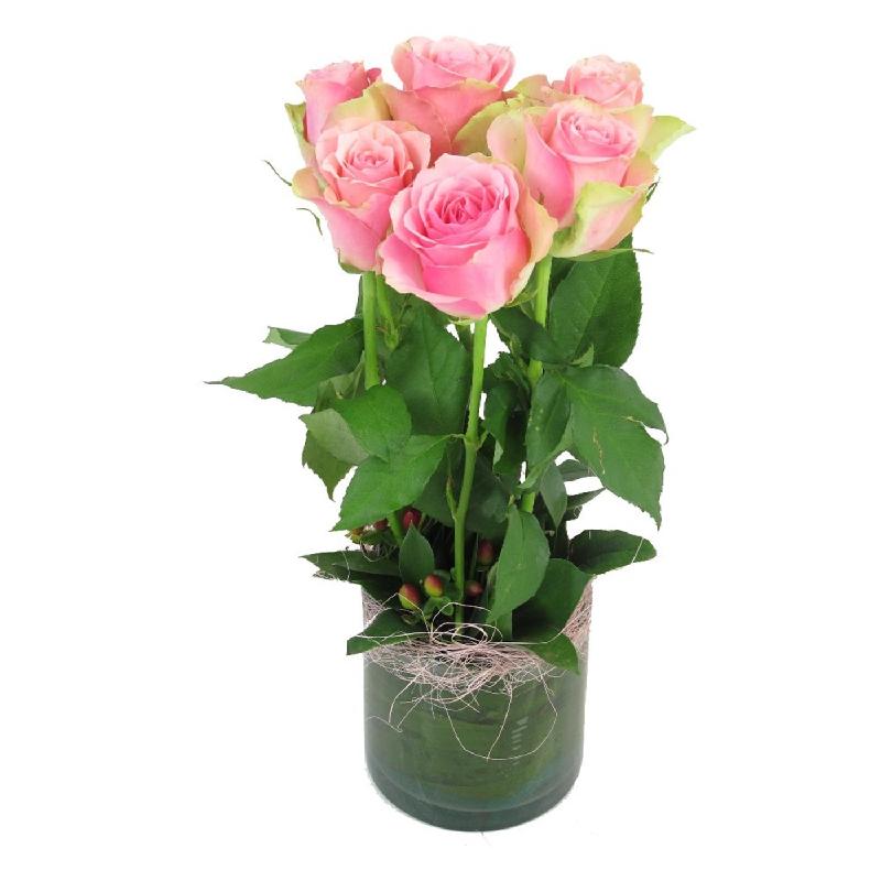 Bouquet de fleurs 6 Pink Roses in Vase