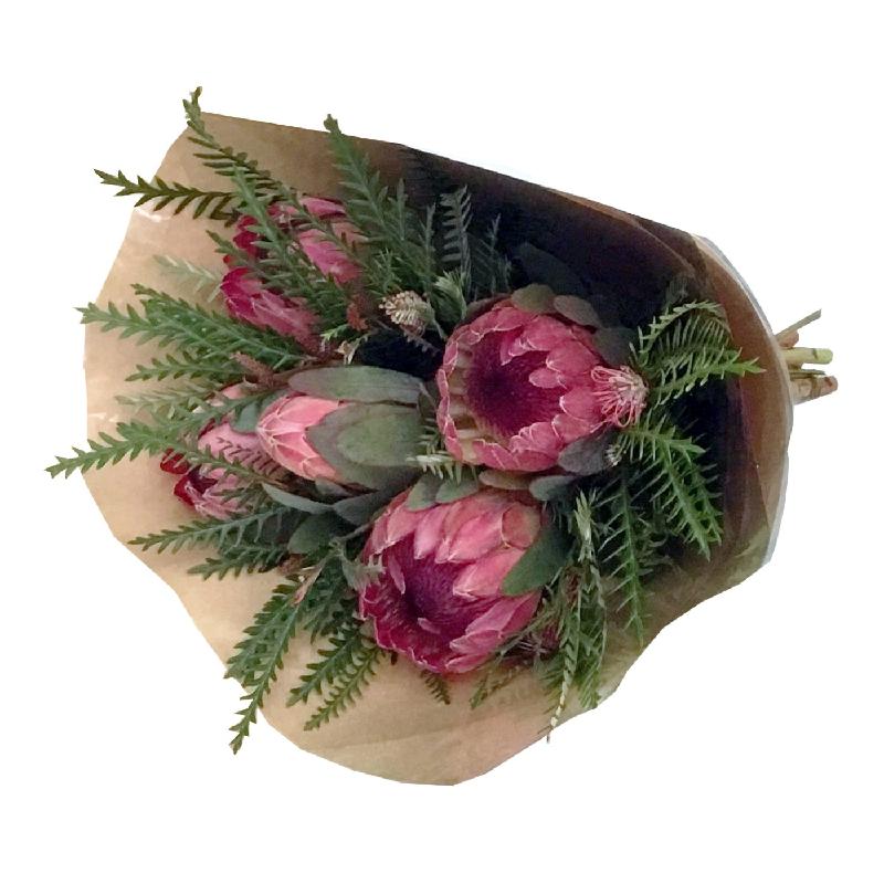 Bouquet de fleurs Protea Five Bunch