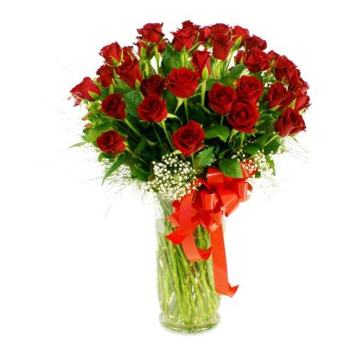 Bouquet de fleurs 50 Red Roses -24hrs