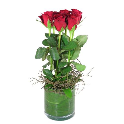 Bouquet de fleurs 6 Red Roses In Vase