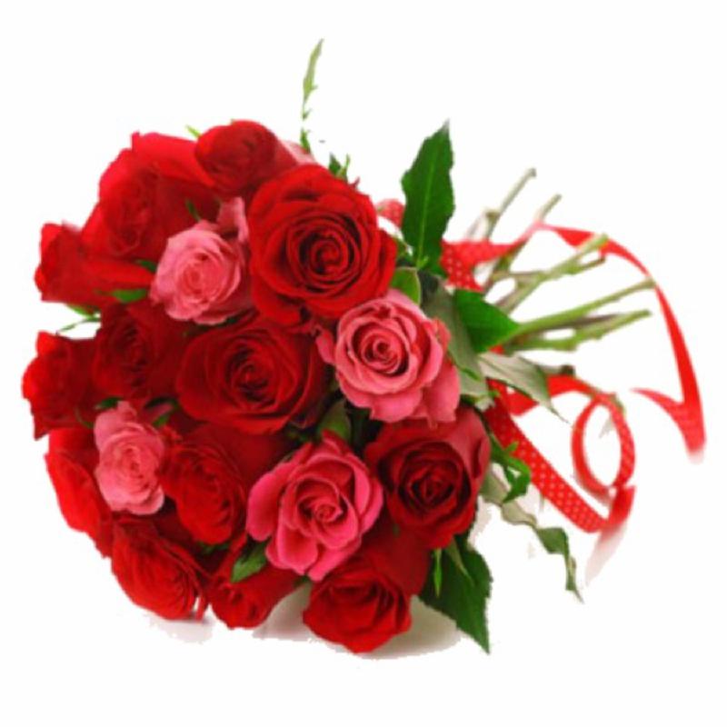 Bouquet de fleurs Pink & Red Roses